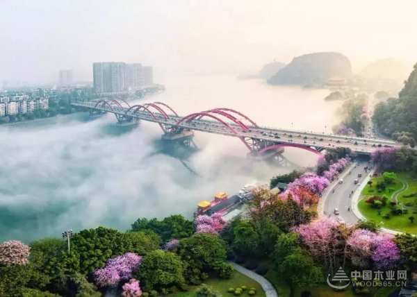 三月春雨美如画，满城紫荆醉龙城 ——鹏森缘向您发出诚挚邀请！