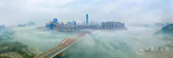 三月春雨美如画，满城紫荆醉龙城 ——鹏森缘向您发出诚挚邀请！