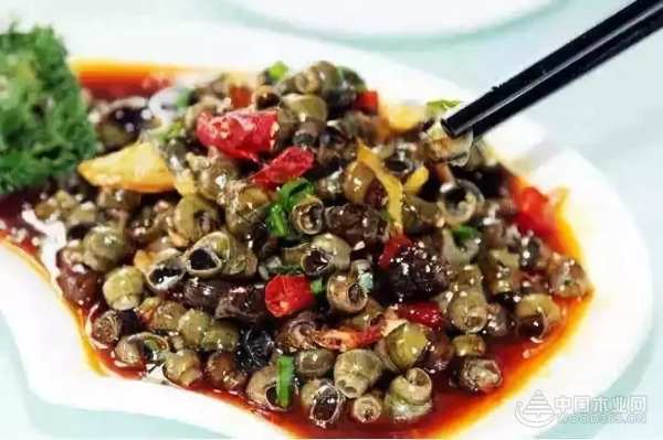 三月春雨美如画，满城紫荆醉龙城 ——鹏森缘向您发出诚挚邀请！