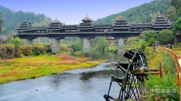 三月春雨美如画，满城紫荆醉龙城 ——鹏森缘向您发出诚挚邀请！