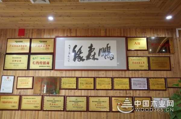 三月春雨美如画，满城紫荆醉龙城 ——鹏森缘向您发出诚挚邀请！