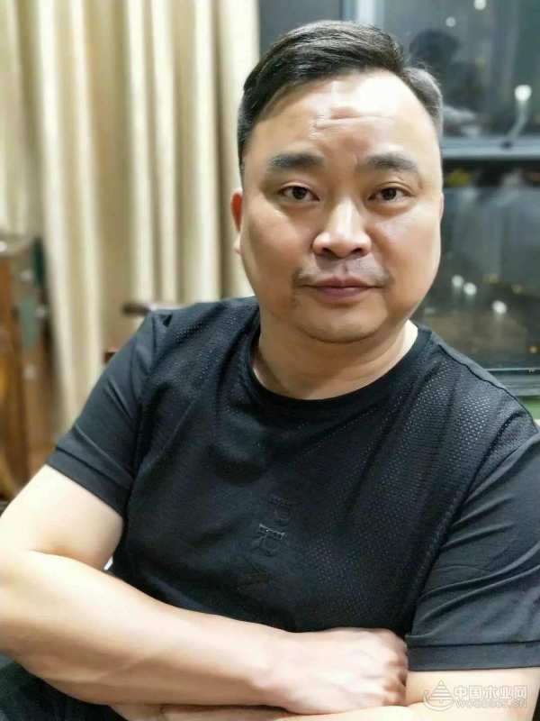 三月春雨美如画，满城紫荆醉龙城 ——鹏森缘向您发出诚挚邀请！