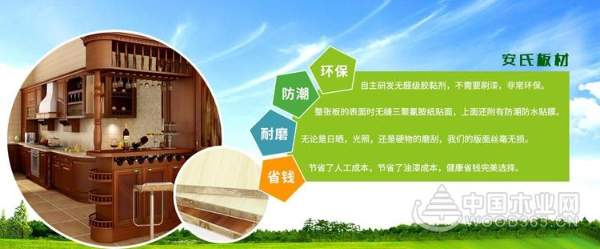 安氏板材：破浪扬帆 跑赢新时代！