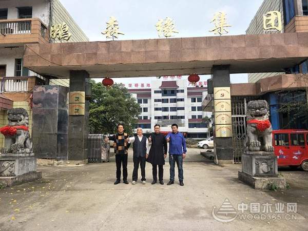 鹏森缘携手卫星城发展强大引擎