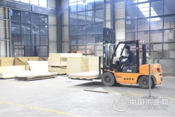 出新品 展新貌 芒果树板材品质再升级