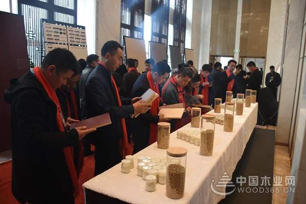 “豆胶时代·未来已来”千山木业新产品发布会圆满落幕