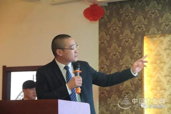 热烈庆祝：百源板材宣城专卖店盛大开业，全城聚焦！