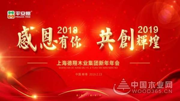 感恩有你，共创辉煌——平安树2019年年会圆满举行！