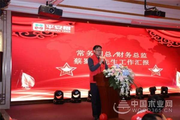 感恩有你，共创辉煌——平安树2019年年会圆满举行！