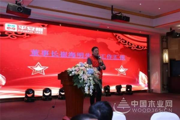 感恩有你，共创辉煌——平安树2019年年会圆满举行！