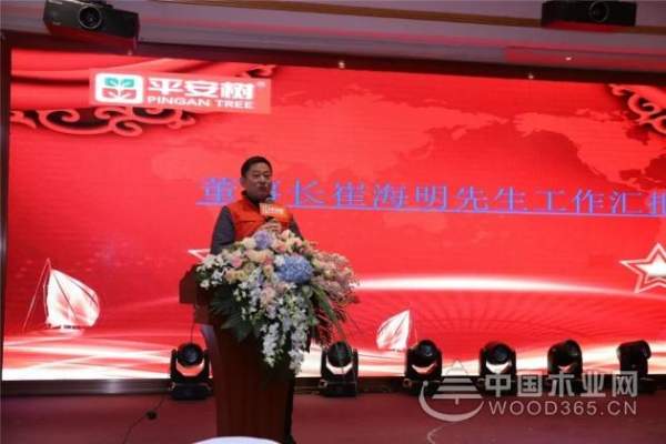 感恩有你，共创辉煌——平安树2019年年会圆满举行！