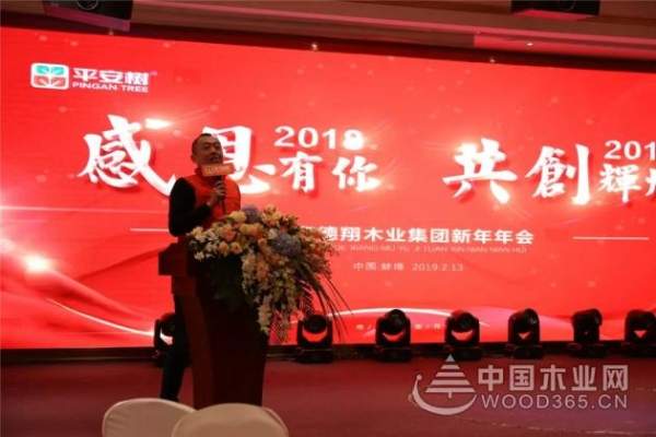 感恩有你，共创辉煌——平安树2019年年会圆满举行！