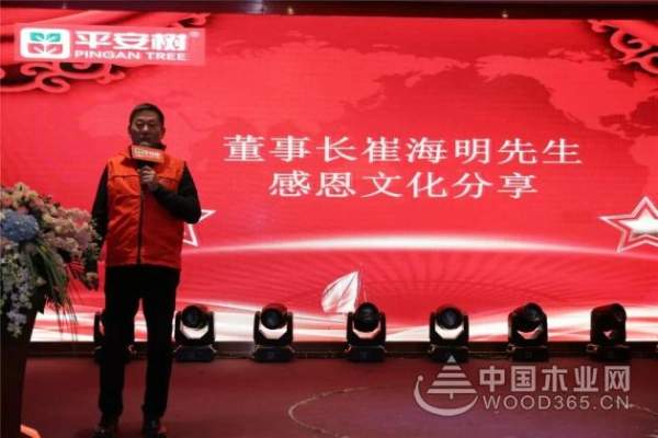 感恩有你，共创辉煌——平安树2019年年会圆满举行！