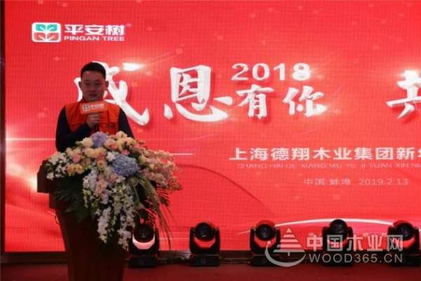 感恩有你，共创辉煌——平安树2019年年会圆满举行！