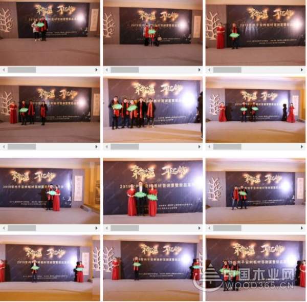聚能量·再起航|热烈祝贺2019平安树常州美艺家系列新品发布会圆满召开！