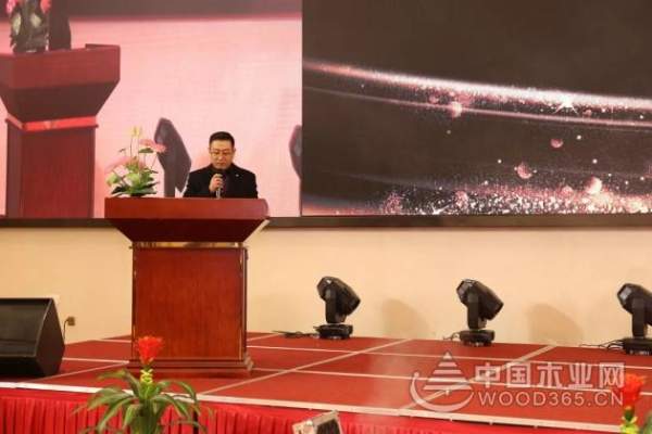 聚能量·再起航|热烈祝贺2019平安树常州美艺家系列新品发布会圆满召开！