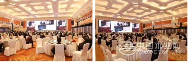 聚能量·再起航|热烈祝贺2019平安树常州美艺家系列新品发布会圆满召开！