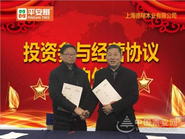 休戚与共，与公司共成长｜平安树2019年最后一批股东签约仪式圆满落幕