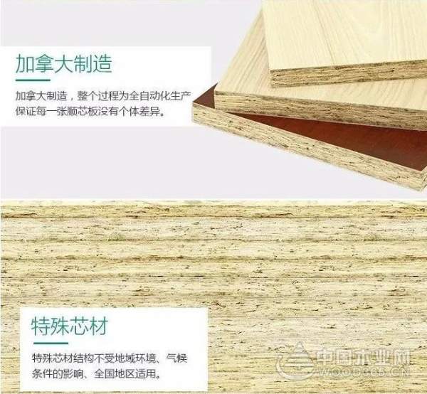 科技造木，健康造家——兔宝宝即将闪耀上海建博会