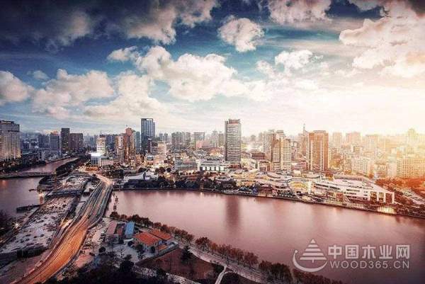 运筹帷幄，精准布局——走近怡黄木业浙江片区