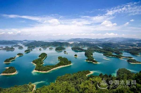 运筹帷幄，精准布局——走近怡黄木业浙江片区