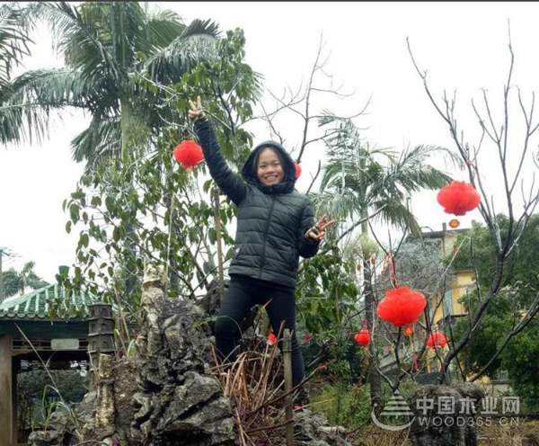 携手并进 筑梦未来----“鹏森缘”产业园2018年年度盛典圆满举行