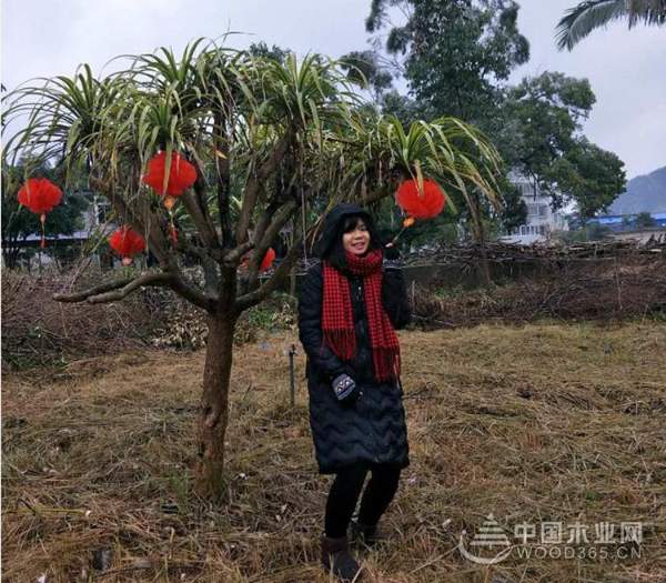 携手并进 筑梦未来----“鹏森缘”产业园2018年年度盛典圆满举行