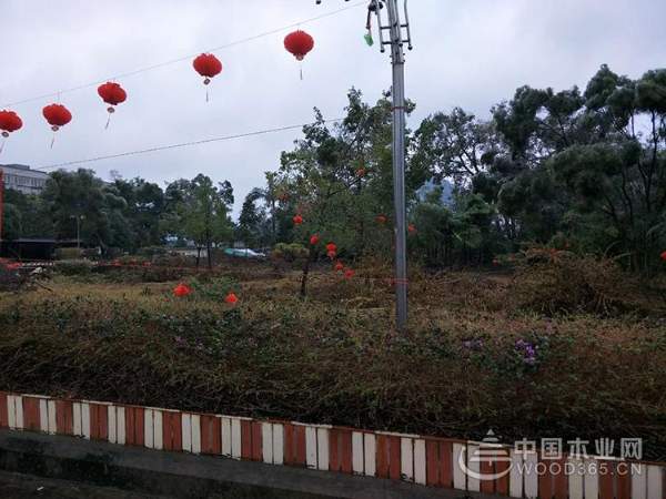 携手并进 筑梦未来----“鹏森缘”产业园2018年年度盛典圆满举行