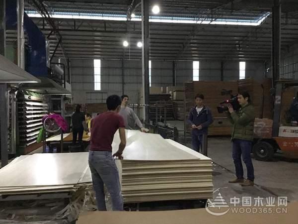 钦州市委领导莅临昌宏木业总部视察指导