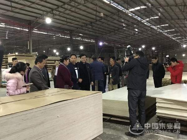 钦州市委领导莅临昌宏木业总部视察指导