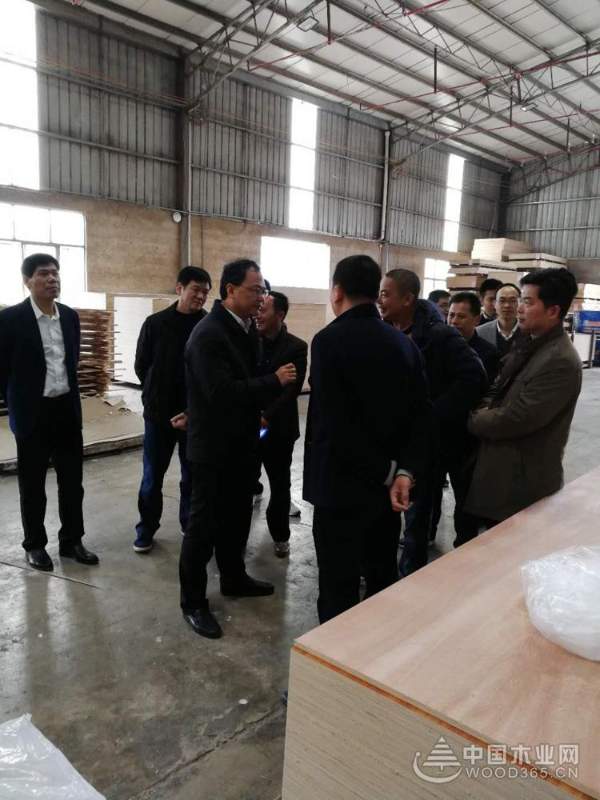 钦州市委领导莅临昌宏木业总部视察指导