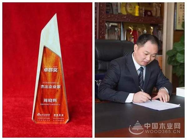 实至名归 | 旺德府家居产业集团荣获第二届湖南家居行业“卓群奖”多项大奖，匠心品质树立行业典范!