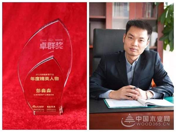 实至名归 | 旺德府家居产业集团荣获第二届湖南家居行业“卓群奖”多项大奖，匠心品质树立行业典范!