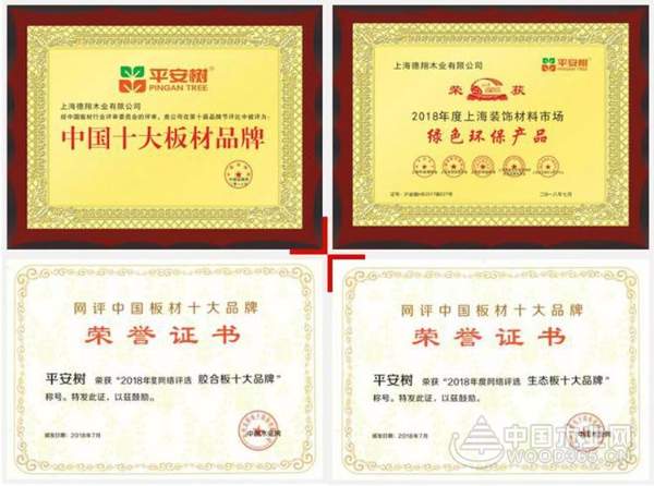 新起点·新跨越|2019，平安树依然不忘初心，仍旧砥砺前行！