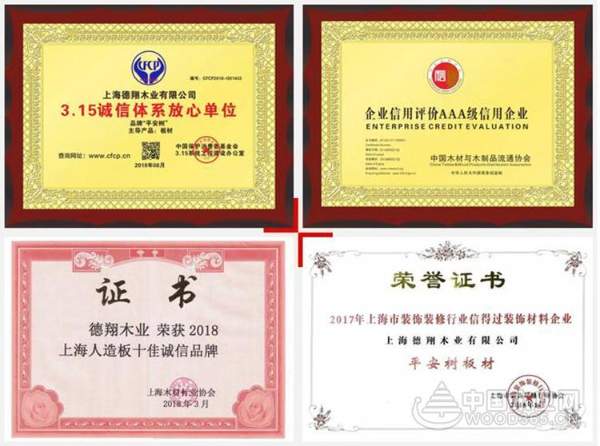 新起点·新跨越|2019，平安树依然不忘初心，仍旧砥砺前行！
