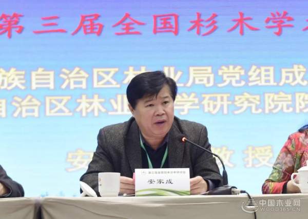 十大生态板品牌壮象董事长叶新忠在全国杉木研讨会上发言