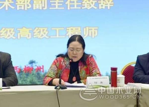 十大生态板品牌壮象董事长叶新忠在全国杉木研讨会上发言