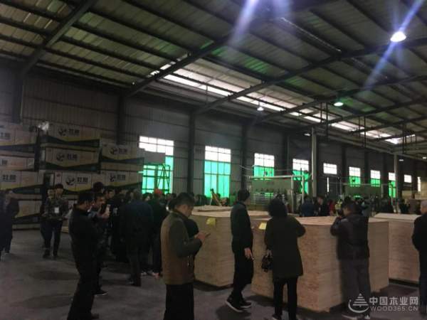 十大生态板品牌壮象董事长叶新忠在全国杉木研讨会上发言
