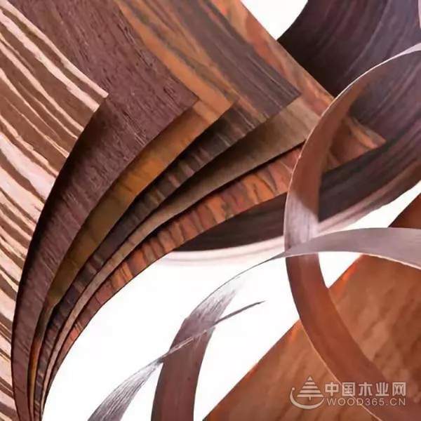 2019，普瑞特将助力装饰单板成为家居主流产品！
