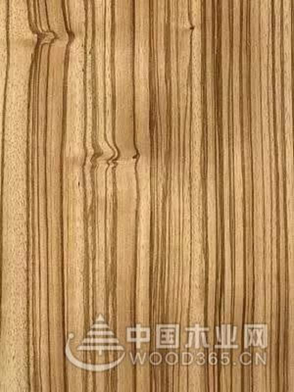 2019，普瑞特将助力装饰单板成为家居主流产品！