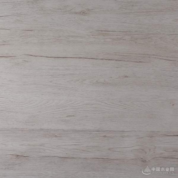 再度发力 桐艺木业推出新品0碳化生态板