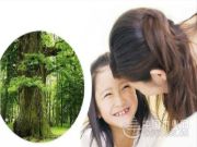 声达地板|8大优势，声达实木地热锁扣地板品质与时尚兼备