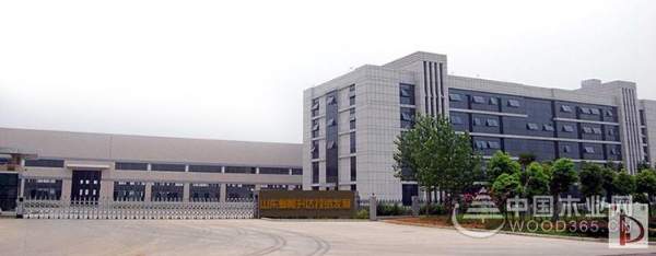柯升达892钢化建筑模板受建筑行业追捧！