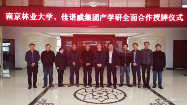 佳诺威集团与南京林业大学进行产学研合作签约授牌