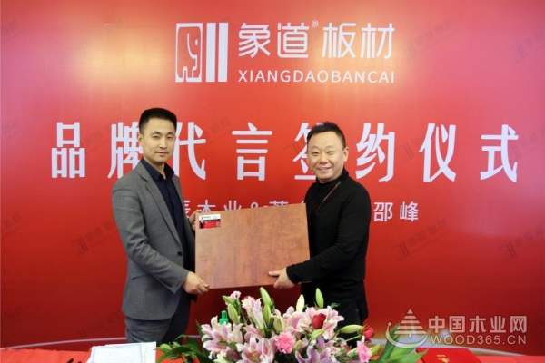 象道板材续签著名演员邵峰 塑造品牌发展新高度