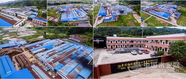 爱心帮扶送温暖，福林福在行动！