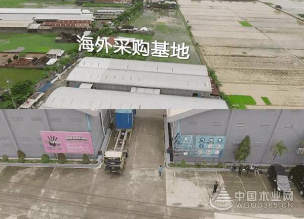 大王椰楠香木：优选进口板芯的五大理由