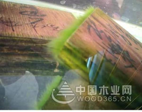 鱼缸里的小故事