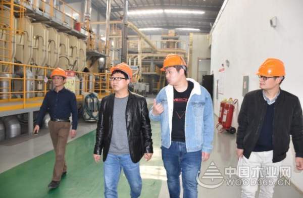 再添伙伴 科林木业与苏州斯可馨家具达成战略合作意向