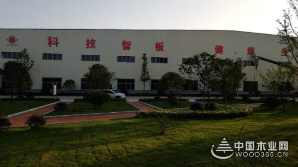再迎贵宾 好莱客领导一行参观考察科林木业